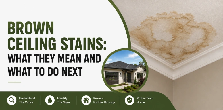 Stains and Residue Left Behind by Dead Animal Decomposition: What They Mean